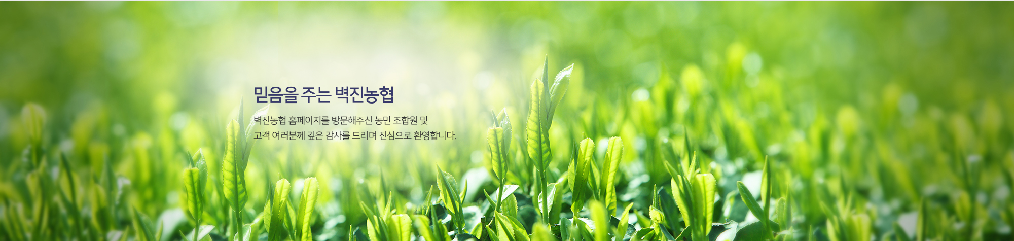 visual 1